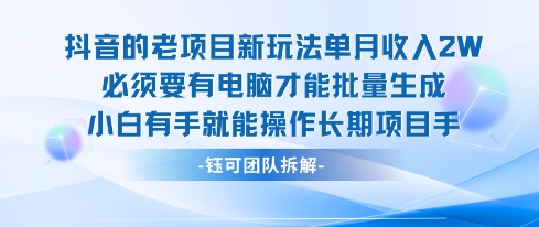 老项目新玩法单月收入2W小白有手就能操作长期项目-资源V站