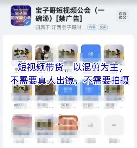 宝子哥头部团队短视频带货，以混剪为主，不需要真人出镜，不需要拍摄【更新8月】-资源V站