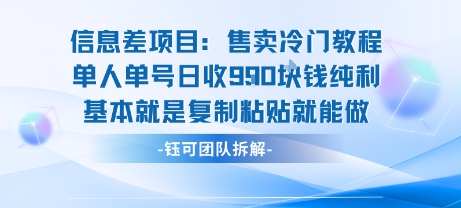 信息差项目：售卖冷门教程单人单号日收9张纯利基本就是复制粘贴就能做-资源V站