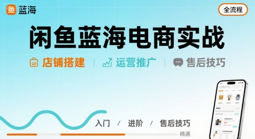 闲鱼蓝海电商实战，店铺搭建运营售后全流程-资源V站