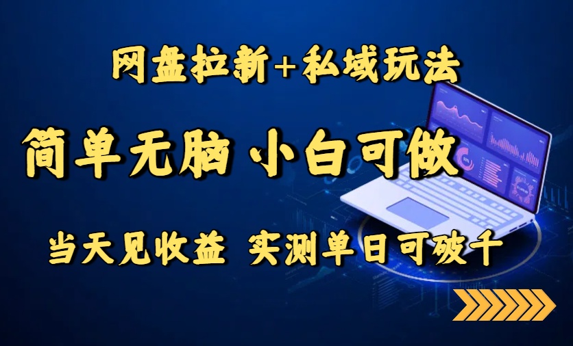 网盘拉新+私域玩法，简单无脑，小白可做，当天见收益，实测单日可破千-资源V站
