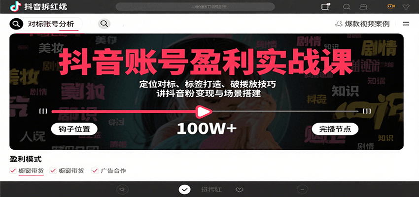 抖音账号盈利实战课，定位对标、标签打造、破播放技巧，讲涨粉变现与场景搭建-资源V站