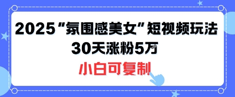 不露脸也能火！2025“氛围感美女”短视频玩法，30天涨粉5W小白可复制-资源V站