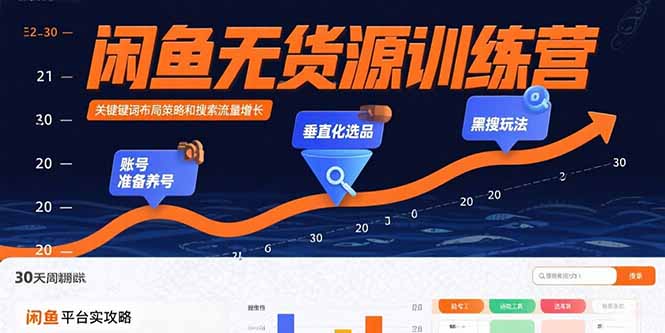 闲鱼无货源训练营：账号准备养号/垂直化选品/黑搜玩法，0基础30天盈利指南-资源V站