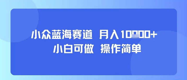 小众蓝海赛道，小白可做，操作简单，每天30分钟，月入1W+-资源V站