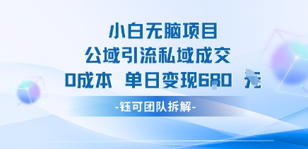 小白无脑项目公域引流私域成交0成本单日变现680米-资源V站
