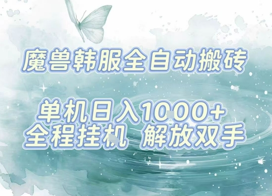 最新韩服游戏搬砖，单机日入1k+，全自动运行挂G项目，解放双手【揭秘】-资源V站
