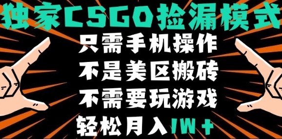 CSGO自动捡漏项目，最新独家玩法，不是美区搬砖，不需要了解和玩游戏，新手小白轻松月入1W+【揭秘】-资源V站