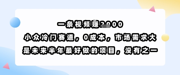一条视频挣1k，小众冷门赛道，0成本，市场需求大，是未来半年最好做的项目，没有之一-资源V站