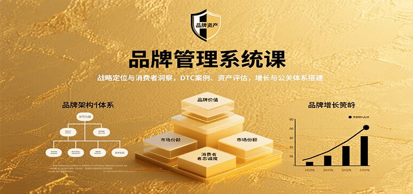 品牌管理系统课：战略定位与消费者洞察，DTC案例、资产评估，增长与公关体系搭建-资源V站