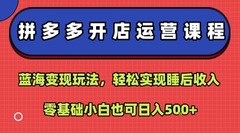 拼多多开店运营课程：蓝海变现玩法，轻松实现睡后收入，零基础小白也可日入5张-资源V站