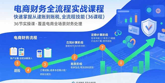 电商财务全流程实战课程:快速掌握从建账到报税的全流程技能(36节课-资源V站