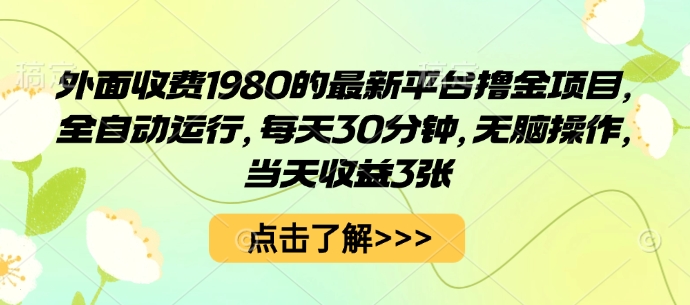 外面收费1980的最新平台撸金项目,全自动运行,每天30分钟,无脑操作,当天收益3张【揭秘】-资源V站