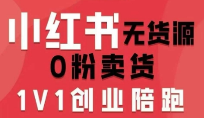 小红书无货源0粉电商课，开店准备、选品策略、笔记撰写、视频剪辑、数据分析、账号打造、资料文档-资源V站