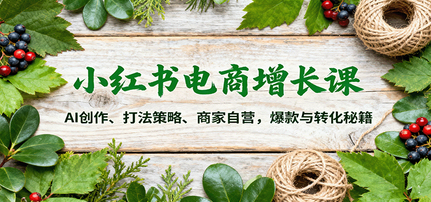 小红书电商增长课：AI创作、打法策略、商家自营，爆款与转化秘籍-资源V站