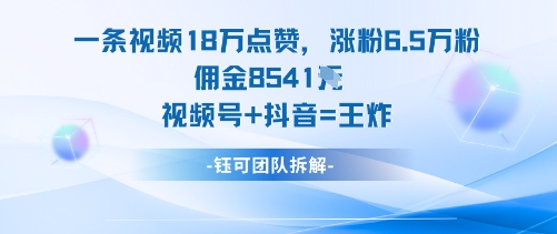 一条视频18W点赞,涨粉6.5W粉佣金8541米,视频号+抖音=王炸-资源V站