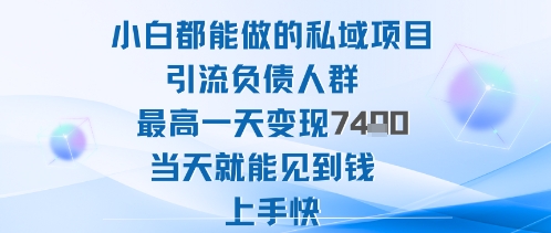 2025年小白都能做的私域项目引流负债人群最高一天变现1k+高变现难度低当天就能见到钱上手快-资源V站