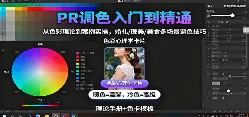 PR调色入门到精通:从色彩理论到案例实操,婚礼/医美/美食多场景调色技巧-资源V站
