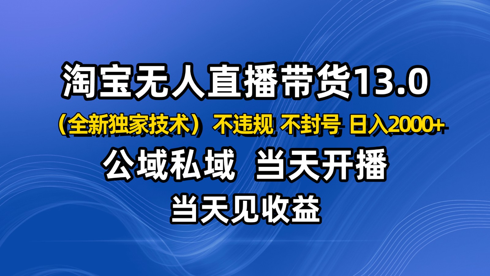 淘宝无人直播13.0，公域私域技术，不封号，不违规 布局下半年旺季赛道，日入2000+-资源V站