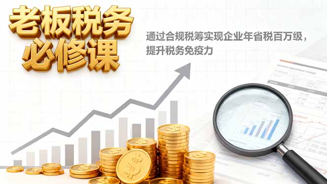 老板税务必修课，通过合规税筹实现企业年省税百万级，提升税务免疫力-资源V站