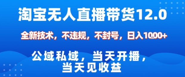 淘宝无人直播12.0，公域私域技术，不封号，不违规布局双十一流量风口，日入1k(独家技术)【揭秘】-资源V站