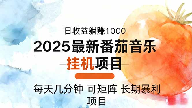 2025年最新番茄音乐人挂机项目，每天几分钟，月入1000＋，可矩阵，一台...-资源V站