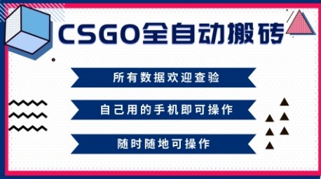 CSGO全自动搬砖，年底钱回家好项目，当天可拿到结果，新手小白轻松月入1W+【揭秘】-资源V站