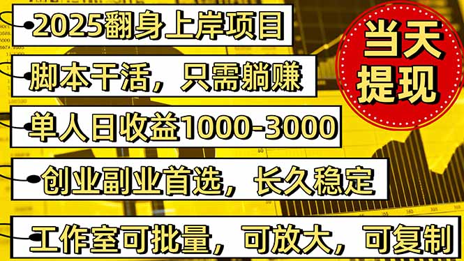 2025翻身上岸项目脚本干活，内部客户经理内部开号，单人日收益1000-300...-资源V站