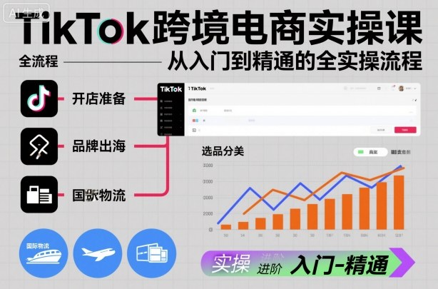 TikTok跨境电商实操课，从入门到精通的全实操流程-资源V站