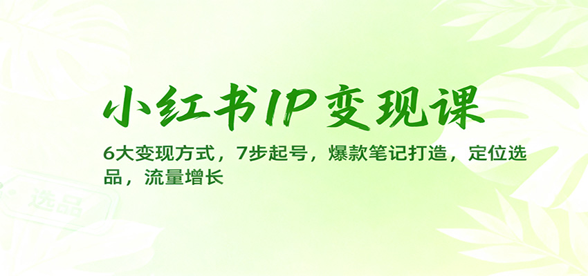 小红书IP变现课：6大变现方式，7步起号，爆款笔记打造，定位选品，流量增长-资源V站