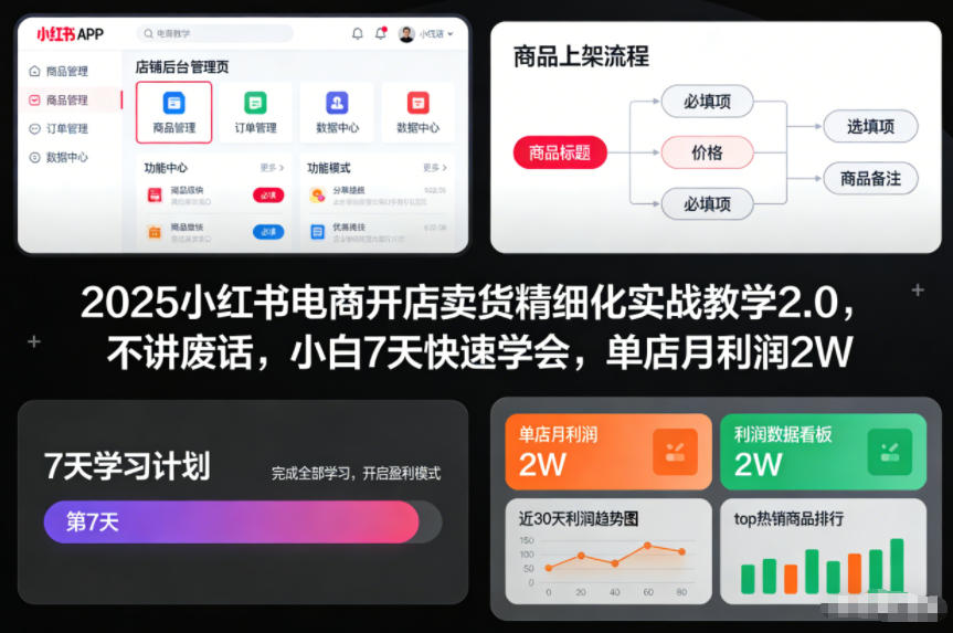 2025小红书电商开店卖货精细化实战教学2.0,不讲废话,小白7天快速学会,单店月利润2W-资源V站