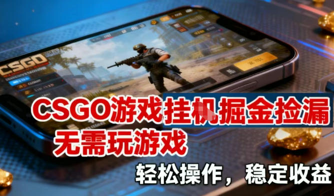 CSGO游戏挂G掘金捡漏，不需要玩游戏，操作简单，收益稳定【揭秘】-资源V站