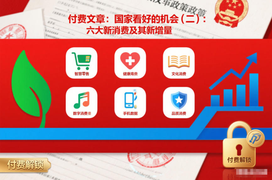 付费文章：国家看好的机会(二)：六大新消费及其新增量-资源V站