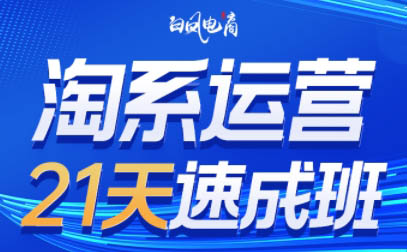白凤电商·淘系运营21天速成班(更新9月)-资源V站