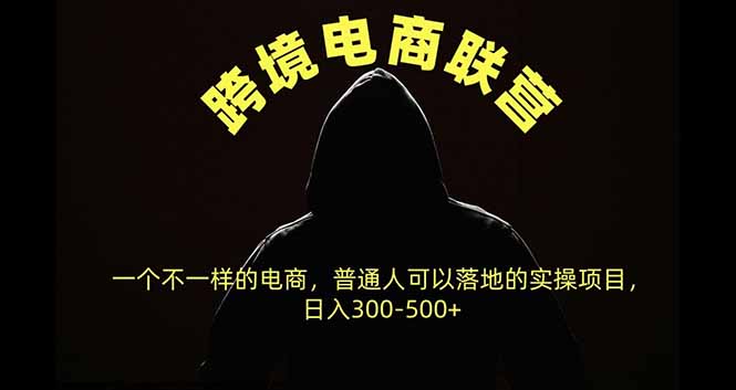 跨境电商联营，一个不一样的电商，普通人可操作日入300-500+-资源V站
