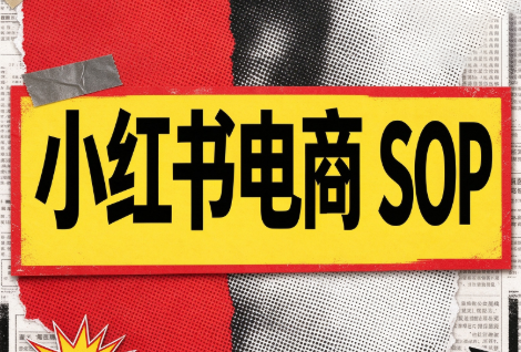 书豪必胜小红书电商sop(更新9月)-资源V站