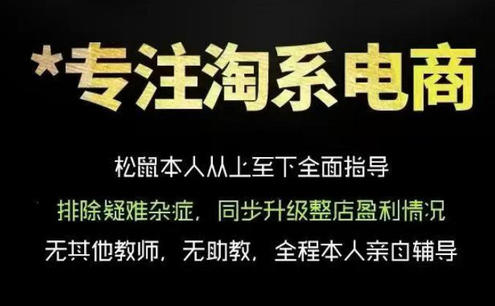 松鼠会电商VIP课程,从基础布局到高阶优化,助你掌握淘宝运营逻辑,提升店铺流量与转化(更新1015)