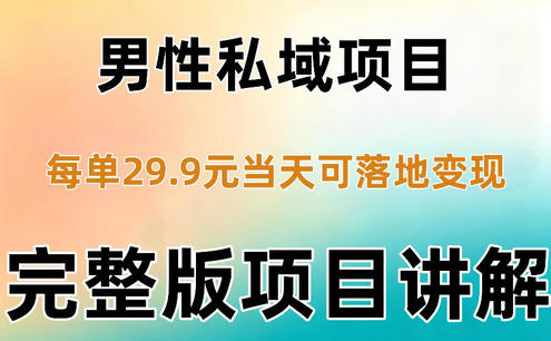 男性私域项目每单29.9,当天就能落地变现【不是S粉项目】详细拆解