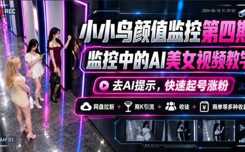 小小鸟颜值监控第四期,监控中的AI美女视频教学,去AI提示,快速起号涨粉,网盘拉新+商K引流+收徒+商单等多种收益