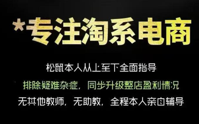 松鼠会电商VIP课程，从基础布局到高阶优化，助你掌握淘宝运营逻辑，提升店铺流量与转化(更新1029)