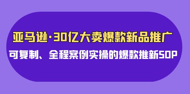 亚马逊30亿大卖爆款新品推广，可复制、全程案例实操的爆款推新SOP-小哥网
