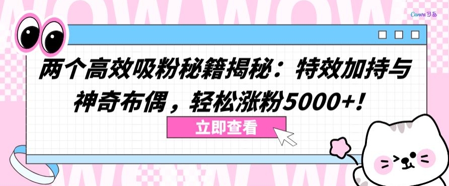 两个高效吸粉秘籍揭秘：特效加持与神奇布偶，轻松涨粉5000+-小哥网