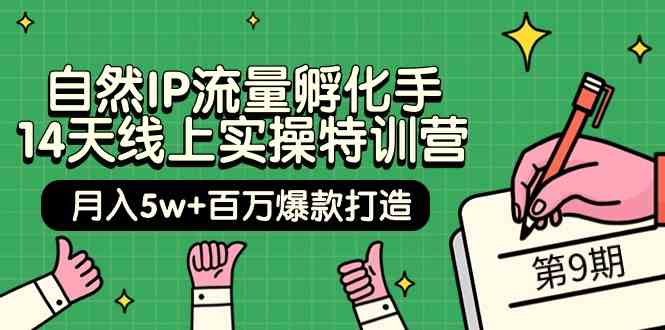 自然IP流量孵化手14天线上实操特训营【第9期】月入5w+百万爆款打造 (74节)-小哥网