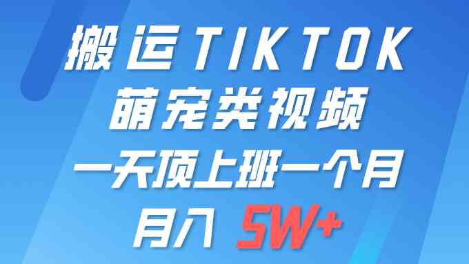 一键搬运TIKTOK萌宠类视频 一部手机即可操作 所有平台均可发布 轻松月入5W+-小哥网