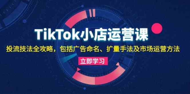 TikTok小店运营课：投流技法全攻略，包括广告命名 扩量手法及市场运营方法-资源V站