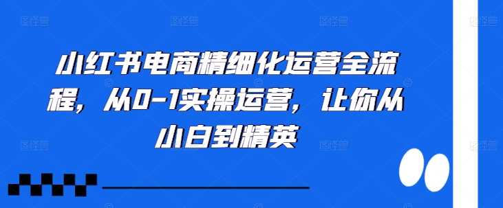 小红书电商精细化运营全流程，从0-1实操运营，让你从小白到精英-资源V站