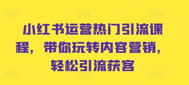小红书运营热门引流课程，带你玩转内容营销，轻松引流获客-资源V站