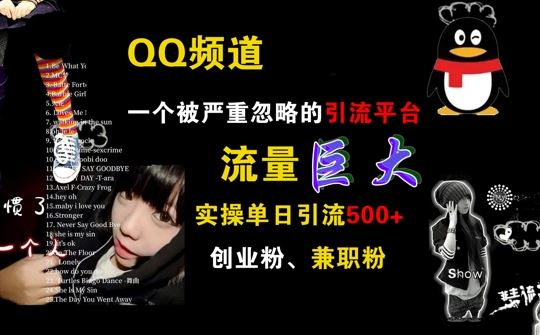 QQ频道，一个被严重忽略的引流平台，流量巨大 实操单日引流500+创业粉兼职粉【揭秘】-资源V站