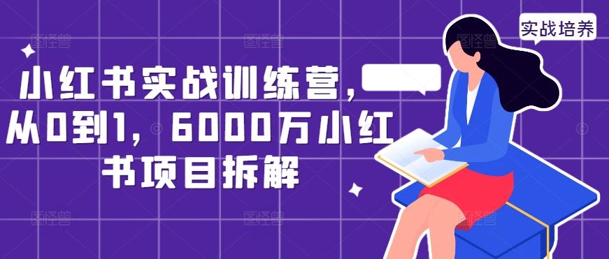 小红书实战训练营，从0到1，6000万小红书项目拆解-资源V站