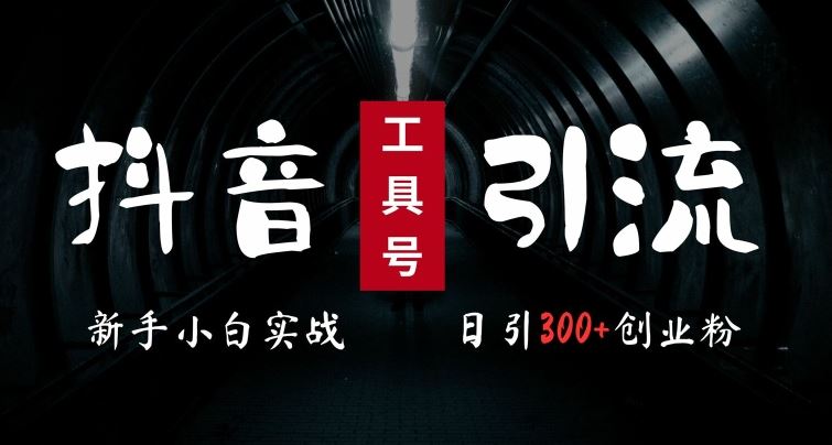 2024最新抖音工具号引流玩法，高效日引300+创业粉，当天变现5k，小白也可成为实战高手-资源V站